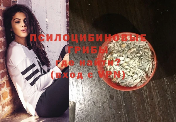 ПСИЛОЦИБИНОВЫЕ ГРИБЫ Инсар