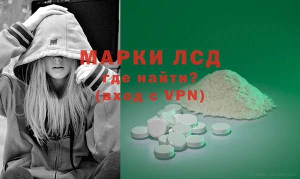 ПСИЛОЦИБИНОВЫЕ ГРИБЫ Инсар