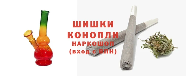ПСИЛОЦИБИНОВЫЕ ГРИБЫ Инсар