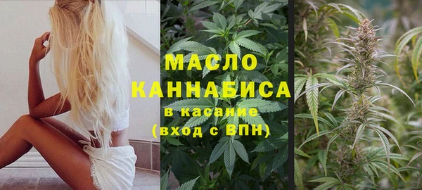 ПСИЛОЦИБИНОВЫЕ ГРИБЫ Инсар