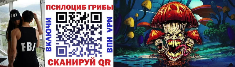 Купить закладки  Дорогобуж  Галлюциногенные грибы Psilocybe 